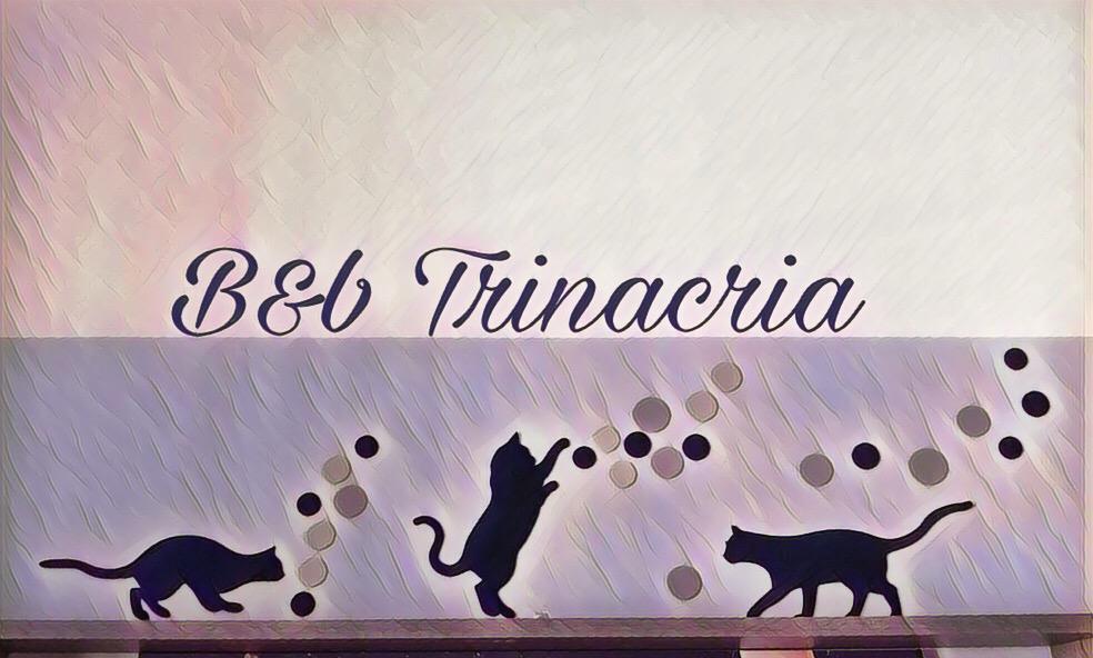 Trinacria Bed and Breakfast Palermo Zewnętrze zdjęcie